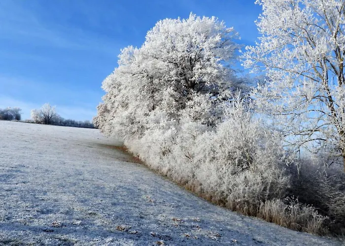 Appartamento Haus An Der Werbe Werbetal *