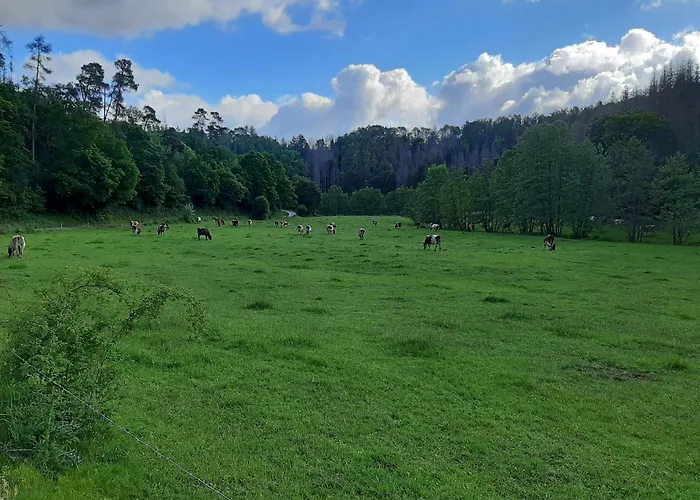 Haus An Der Werbe Werbetal Waldeck (Hessen)