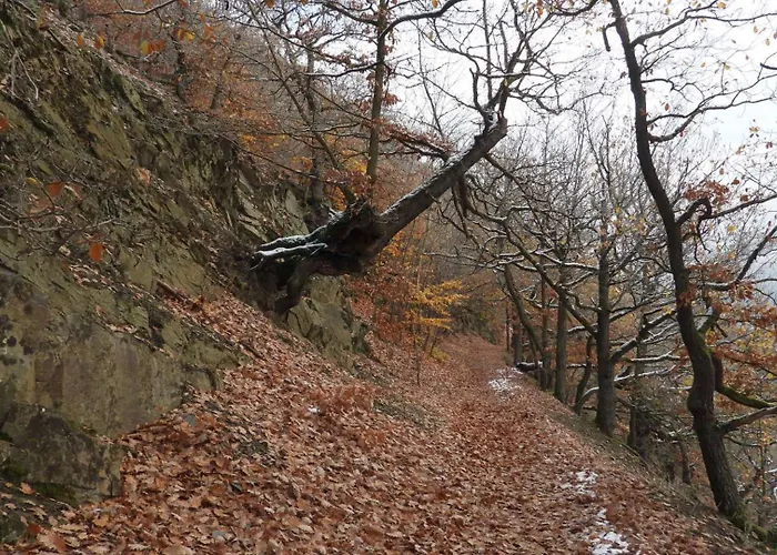 Haus An Der Werbe Werbetal